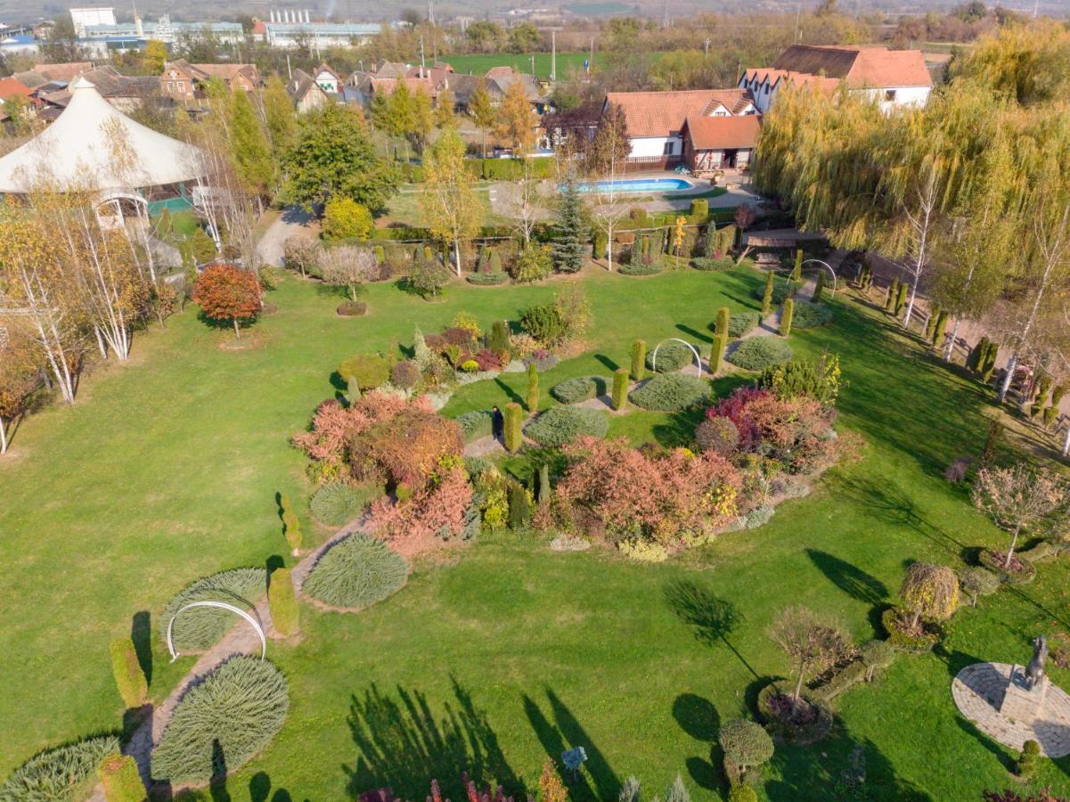 Domeniul Dracula Danes Daneş Exterior foto